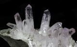 Spectacular Amethyst Crystal Cluster - Las Vigas, Mexico #31946-5